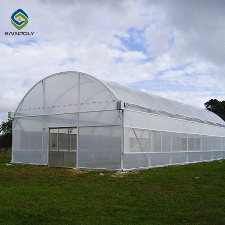 Low Cost Plants Growing Single-span Cheap Large Size Tunnel Agricultural Greenhouse For Tomato Growing
