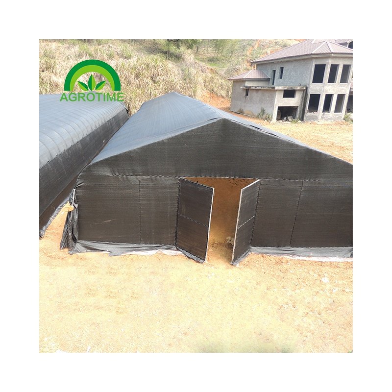 Tunnel greenhouses Agricultural Greenhouses mushroom greenhouses with high strength complete equipment