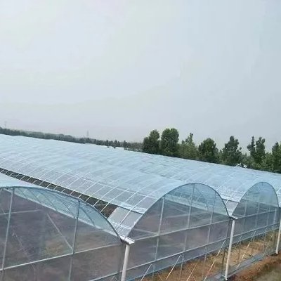 Multi span film greenhouse agricultural equipment hydroponic system poly tunnel green house