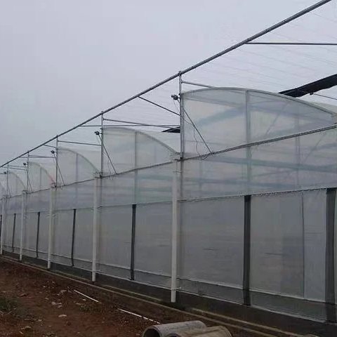 Multi span film greenhouse agricultural equipment hydroponic system poly tunnel green house