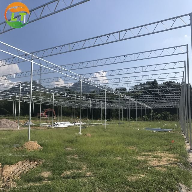 Multi-span hydroponics greenhouse system agriculture polycarbonate greenhouse for sale