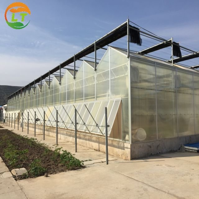 Multi-span hydroponics greenhouse system agriculture polycarbonate greenhouse for sale