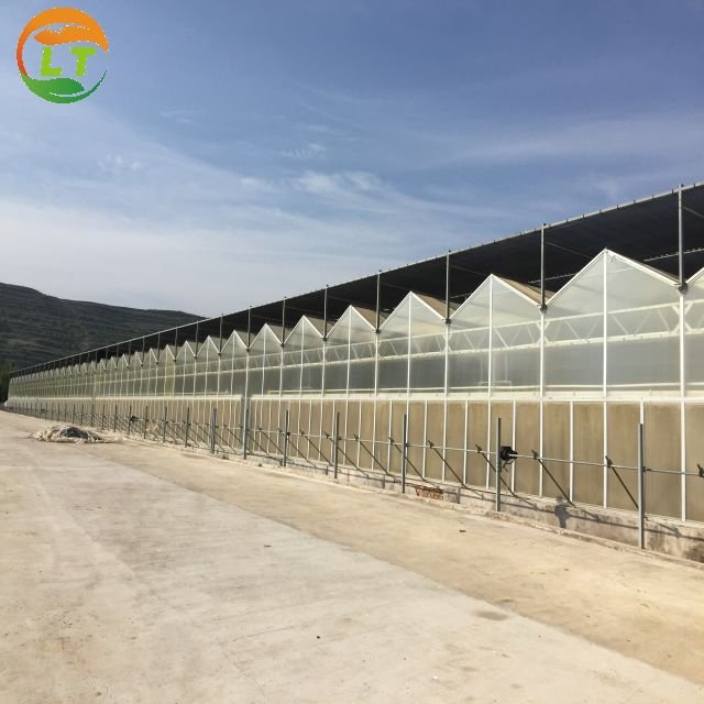 Multi-span hydroponics greenhouse system agriculture polycarbonate greenhouse for sale