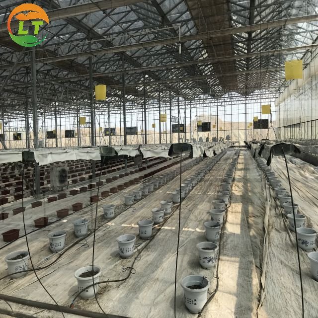 Multi-span hydroponics greenhouse system agriculture polycarbonate greenhouse for sale