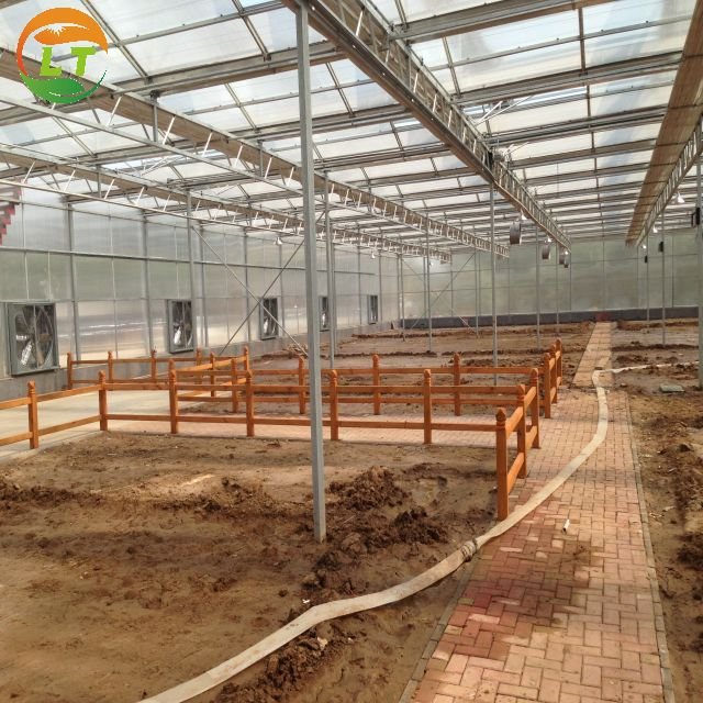 Multi-span hydroponics greenhouse system agriculture polycarbonate greenhouse for sale