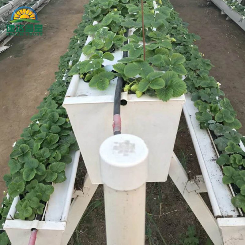 Multi-span Greenhouse Agricultural Greenhouse film greenhouse planting green house