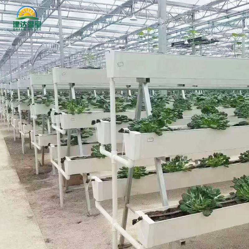 Multi-span Greenhouse Agricultural Greenhouse film greenhouse planting green house