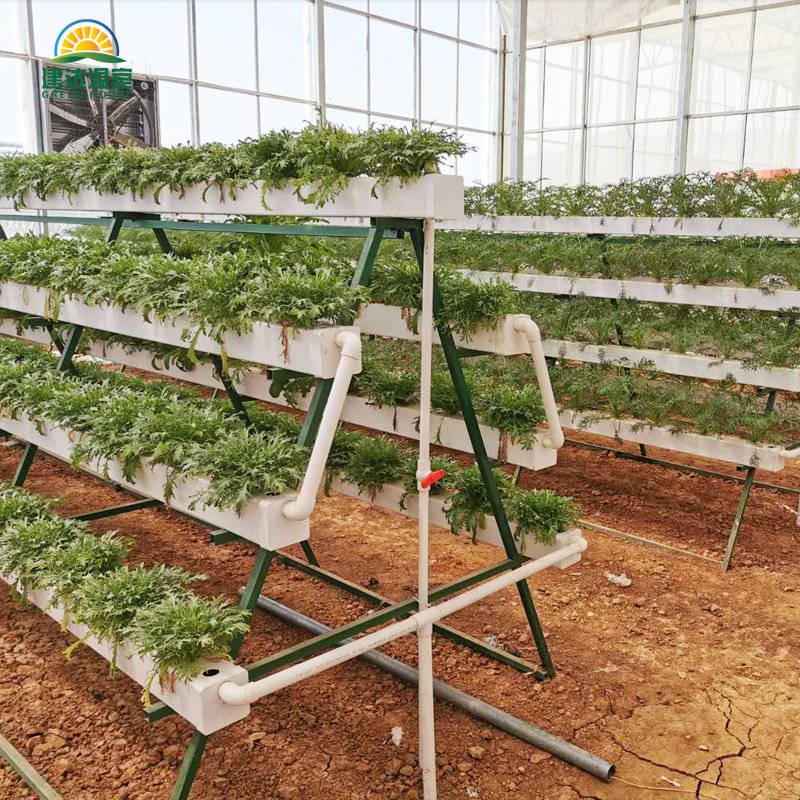 Multi-span Greenhouse Agricultural Greenhouse film greenhouse planting green house