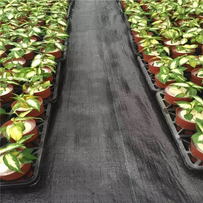weed control fabric pp woven weed mat Fabric Cloth Barrier Non Woven Mat For Agricultural Ground Cover