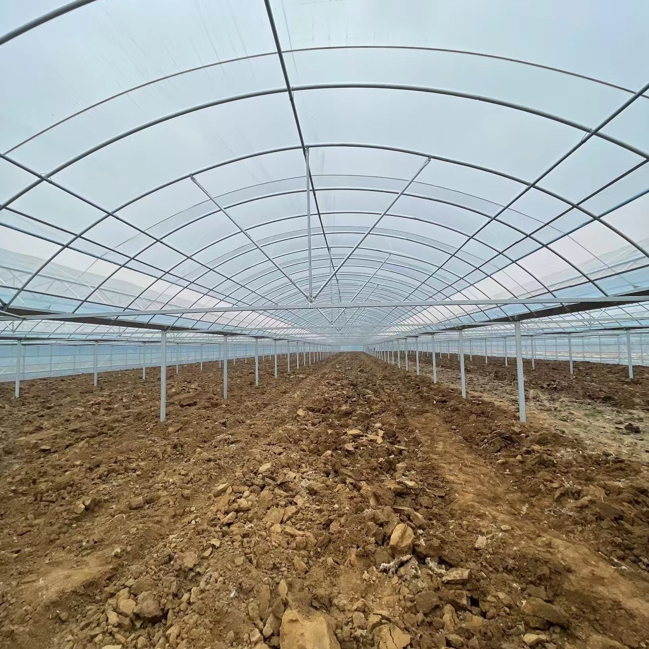 Agriculture Green House for Planting Vegetables Greenhouses Multitunnel