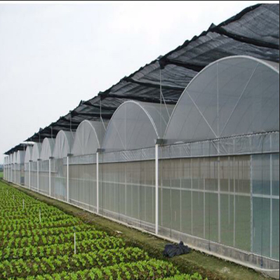 Agriculture Green House for Planting Vegetables Greenhouses Multitunnel