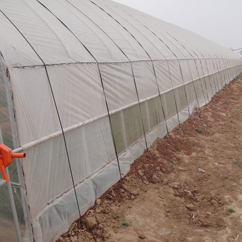 Customized Multi-Span Arch Type PE/Po Plastic Film Agricultural Green House with Hydroponics System for Planting