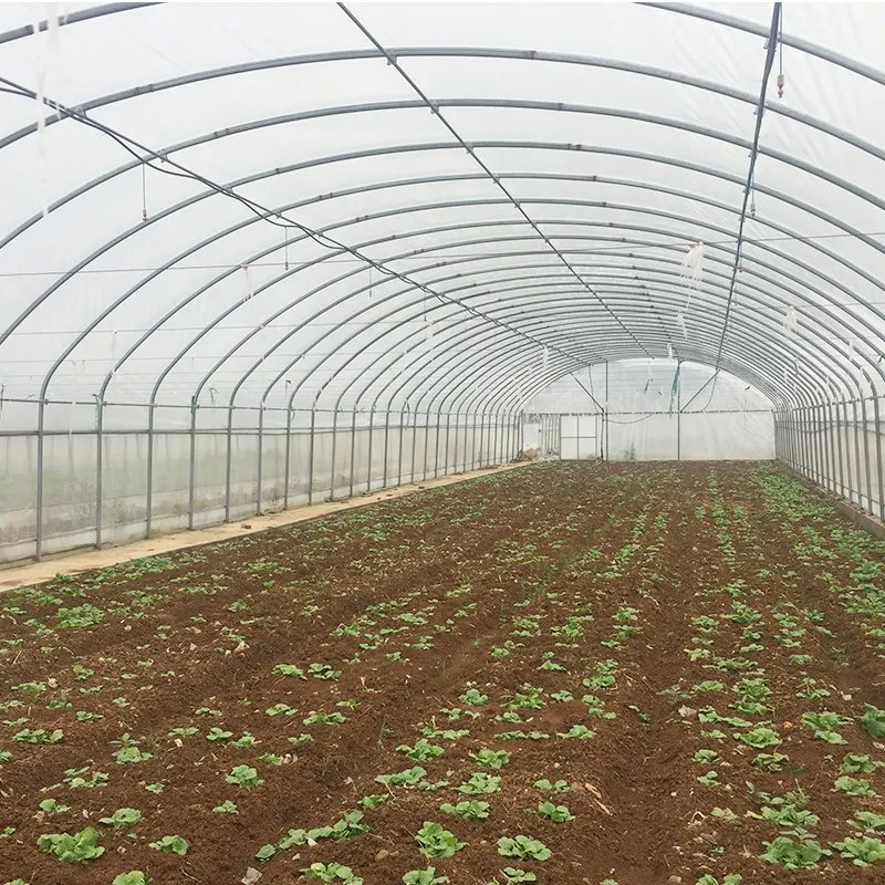 Customized Multi-Span Arch Type PE/Po Plastic Film Agricultural Green House with Hydroponics System for Planting
