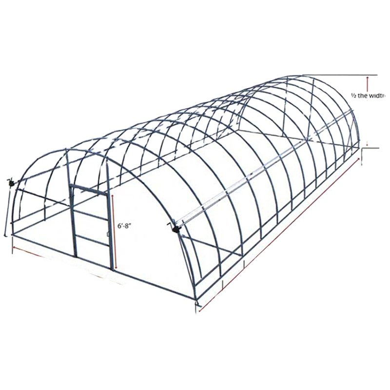 8m Span Single-Span Agricultural Greenhouse for Vegetable Growing Irrigation and Hydroponic System Made of Plastic and Steel