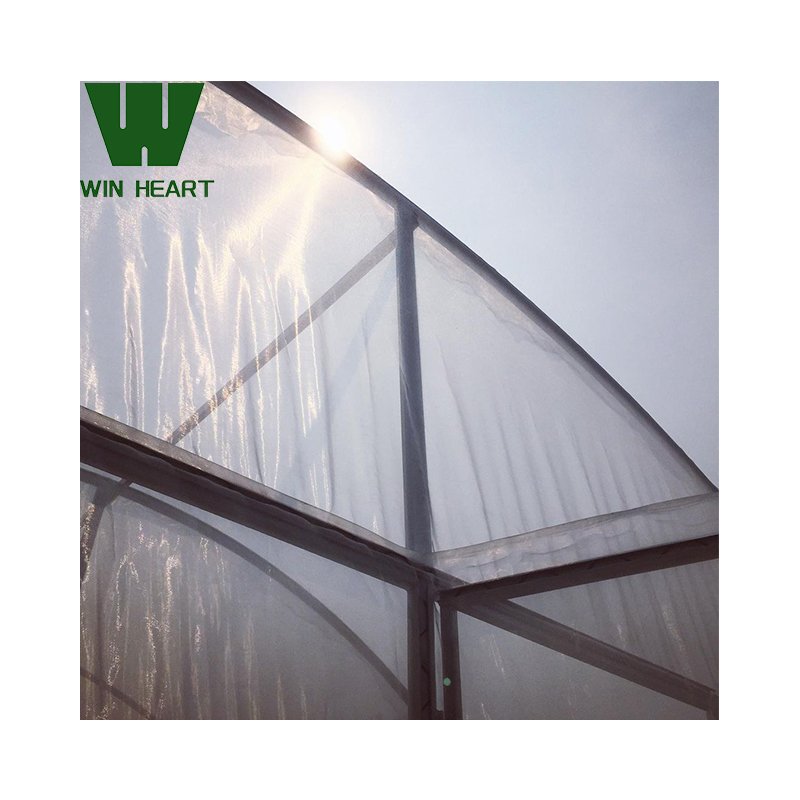 Low Cost Agriculture Greenhouse for Strawberry Planting