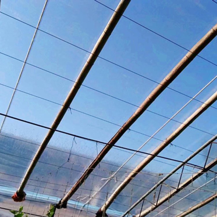 Tunnel Plastic Greenhouse Film Agriculture Agricultural Pe Film Po Uv Agricultural Film Invernadero