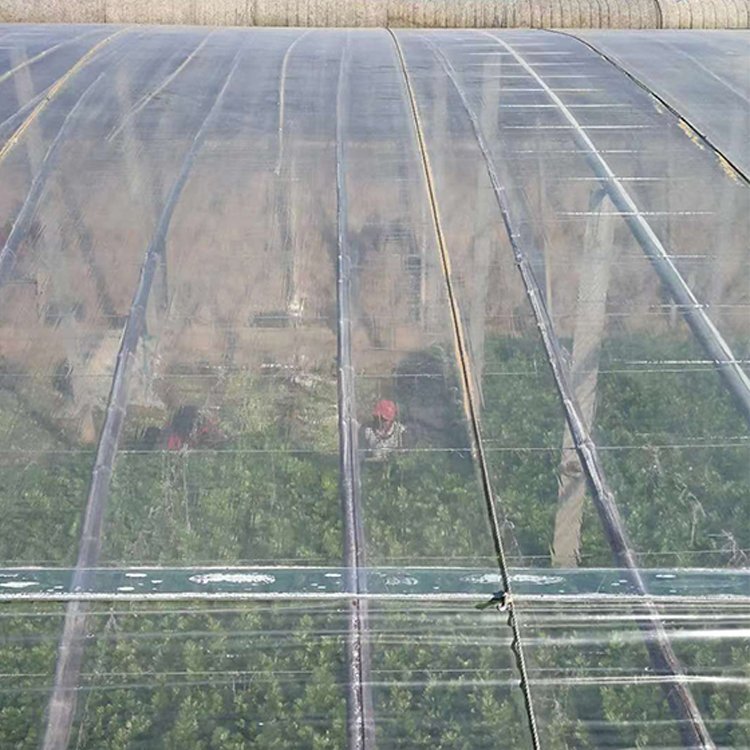 Tunnel Plastic Greenhouse Film Agriculture Agricultural Pe Film Po Uv Agricultural Film Invernadero