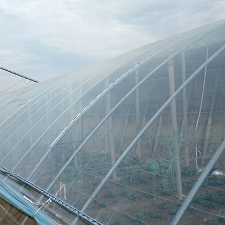 Tunnel Plastic Greenhouse Film Agriculture Agricultural Pe Film Po Uv Agricultural Film Invernadero
