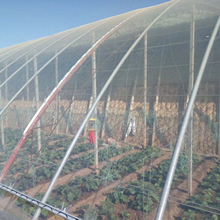 Tunnel Plastic Greenhouse Film Agriculture Agricultural Pe Film Po Uv Agricultural Film Invernadero
