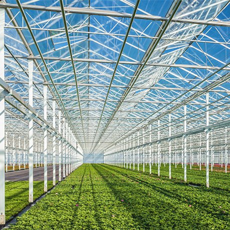 Tomato green housed victorian turnkey greenhouses agricultural equipment for pc greenhouse