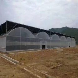 Tomato green housed victorian turnkey greenhouses agricultural equipment for pc greenhouse