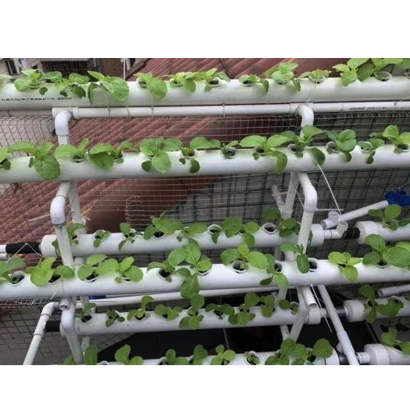 Best Choice Environmental Friendly Inhouse Innovated Agricultural Greenhouses Polyurethane Based Hydroponic Foam
