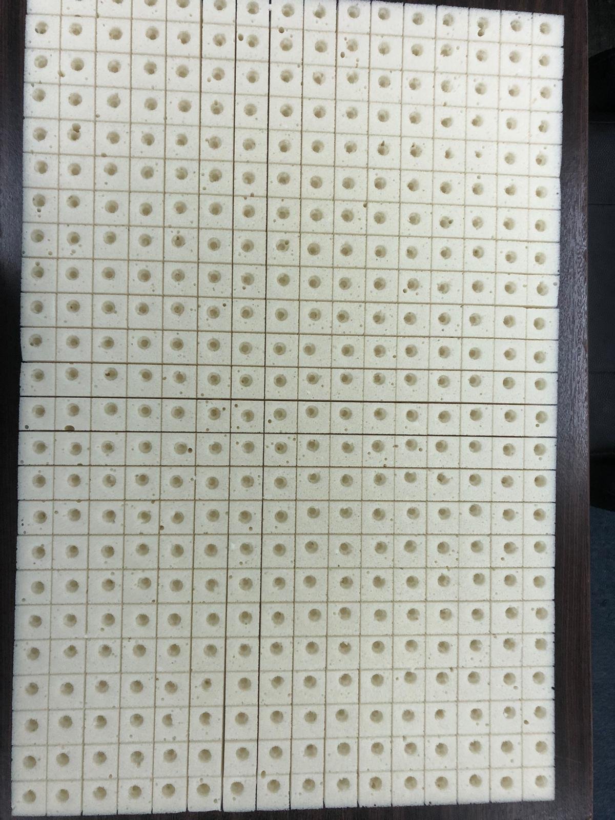Best Choice Environmental Friendly Inhouse Innovated Agricultural Greenhouses Polyurethane Based Hydroponic Foam