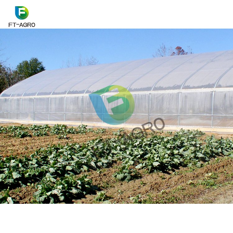 Single-span PO film agricultural greenhouse
