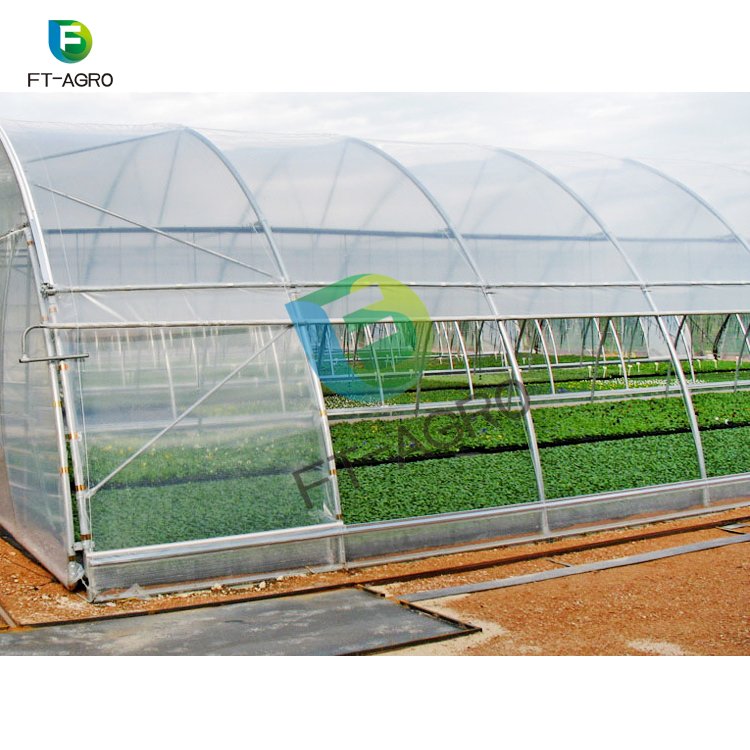 Single-span PO film agricultural greenhouse