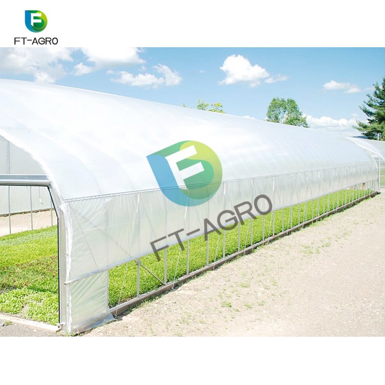 Single-span PO film agricultural greenhouse
