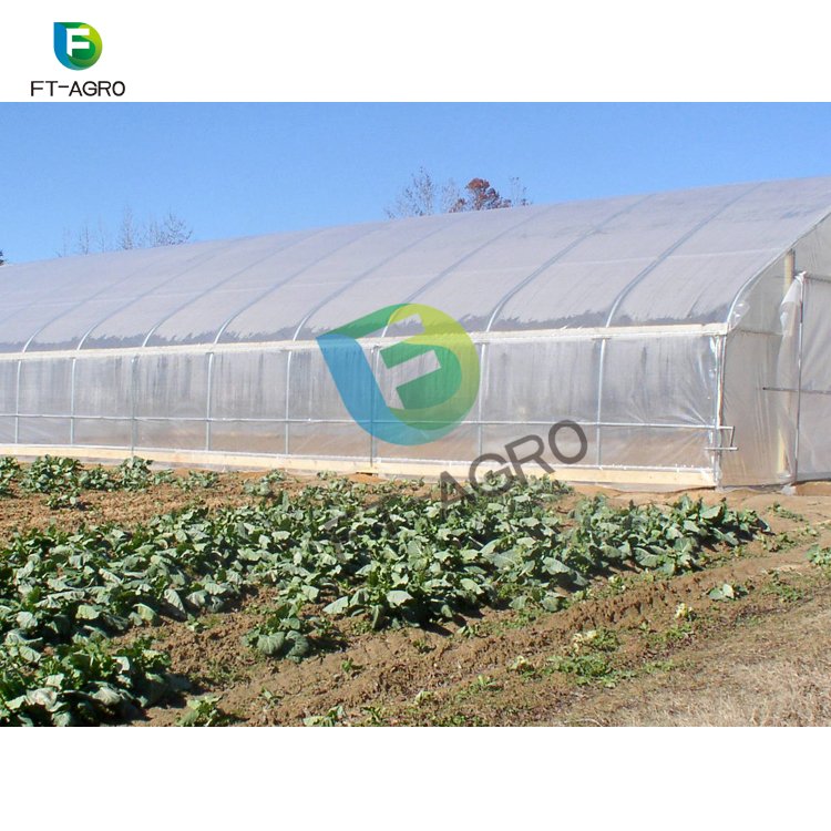 Single-span PO film agricultural greenhouse