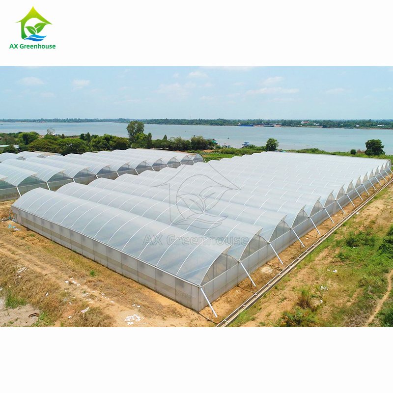AXGREENHOUSE film galvanized steel high tunnel single-span multi-span agricultural greenhouses with accessories