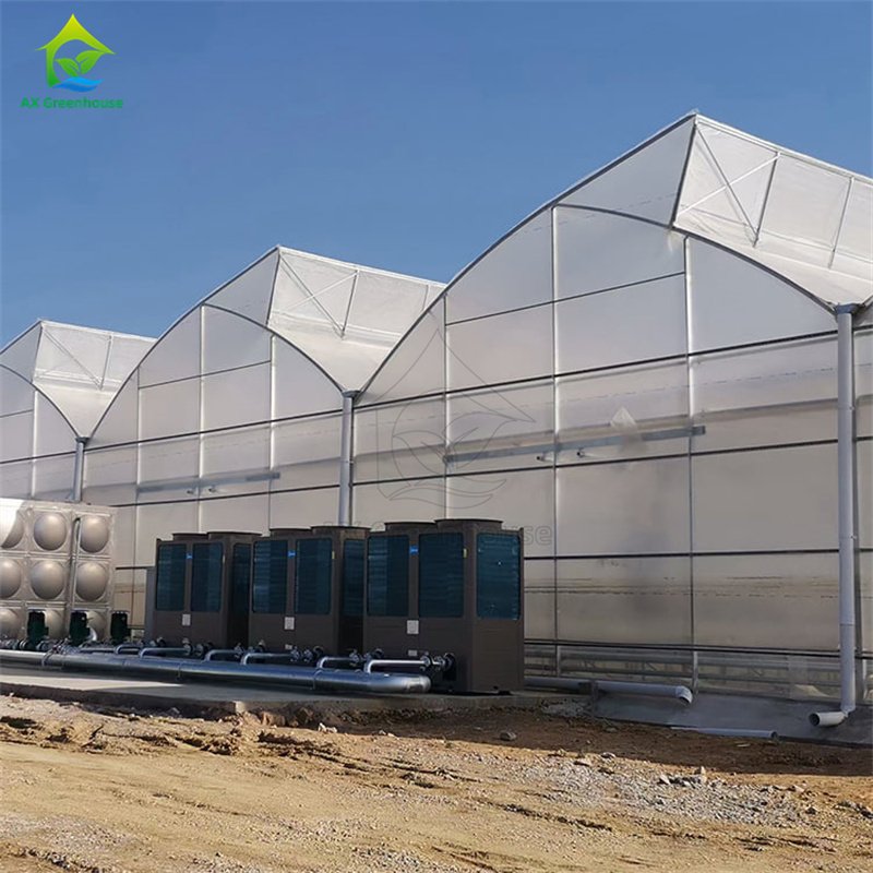 AXGREENHOUSE film galvanized steel high tunnel single-span multi-span agricultural greenhouses with accessories