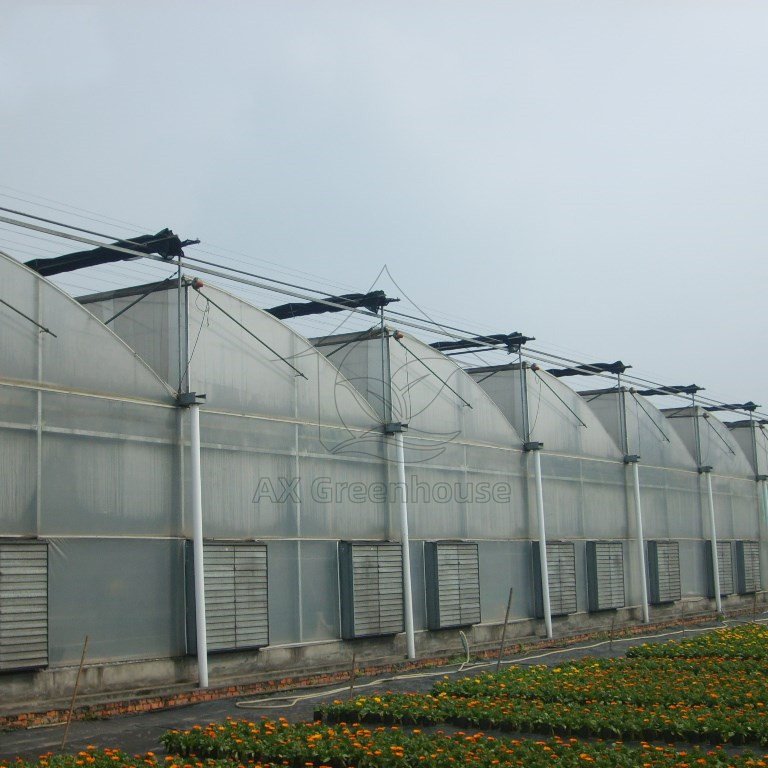 AXGREENHOUSE film galvanized steel high tunnel single-span multi-span agricultural greenhouses with accessories