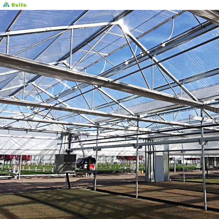 Superior Metal Quality Venlo Multi-Span Agricultural Greenhouse Glass Tropical House With Hydroponic Growing System