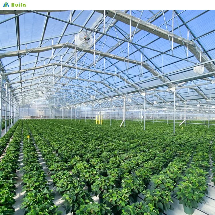 Superior Metal Quality Venlo Multi-Span Agricultural Greenhouse Glass Tropical House With Hydroponic Growing System
