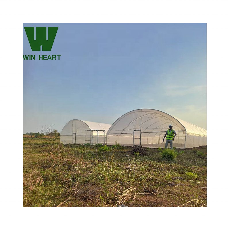 Online Shopping Website Profile Frame Plastic Film Agricultural Greenhouse Net 270 Sqm Greenhouse