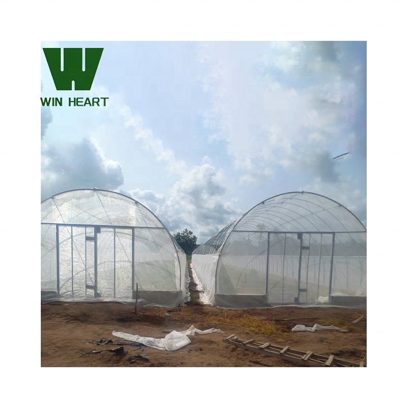 Online Shopping Website Profile Frame Plastic Film Agricultural Greenhouse Net 270 Sqm Greenhouse