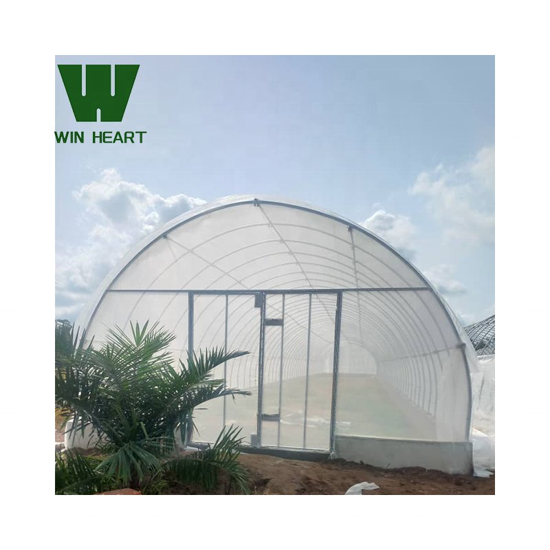 Online Shopping Website Profile Frame Plastic Film Agricultural Greenhouse Net 270 Sqm Greenhouse