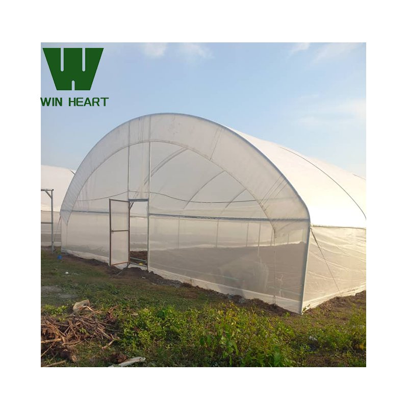 Online Shopping Website Profile Frame Plastic Film Agricultural Greenhouse Net 270 Sqm Greenhouse