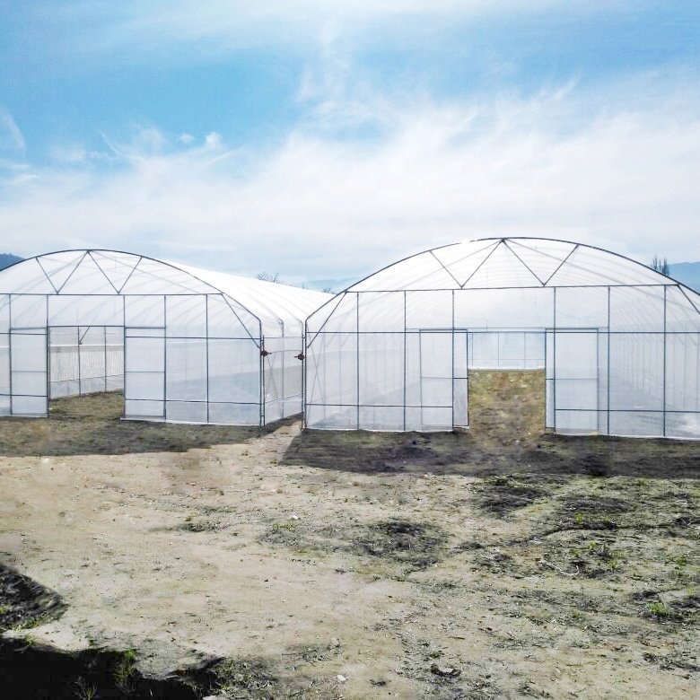 Vertical Farming Tower green houses agriculture commercial