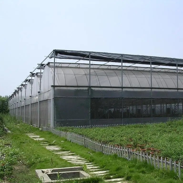 Multi-span Greenhouses Plastic Film greenhouse for vegetable