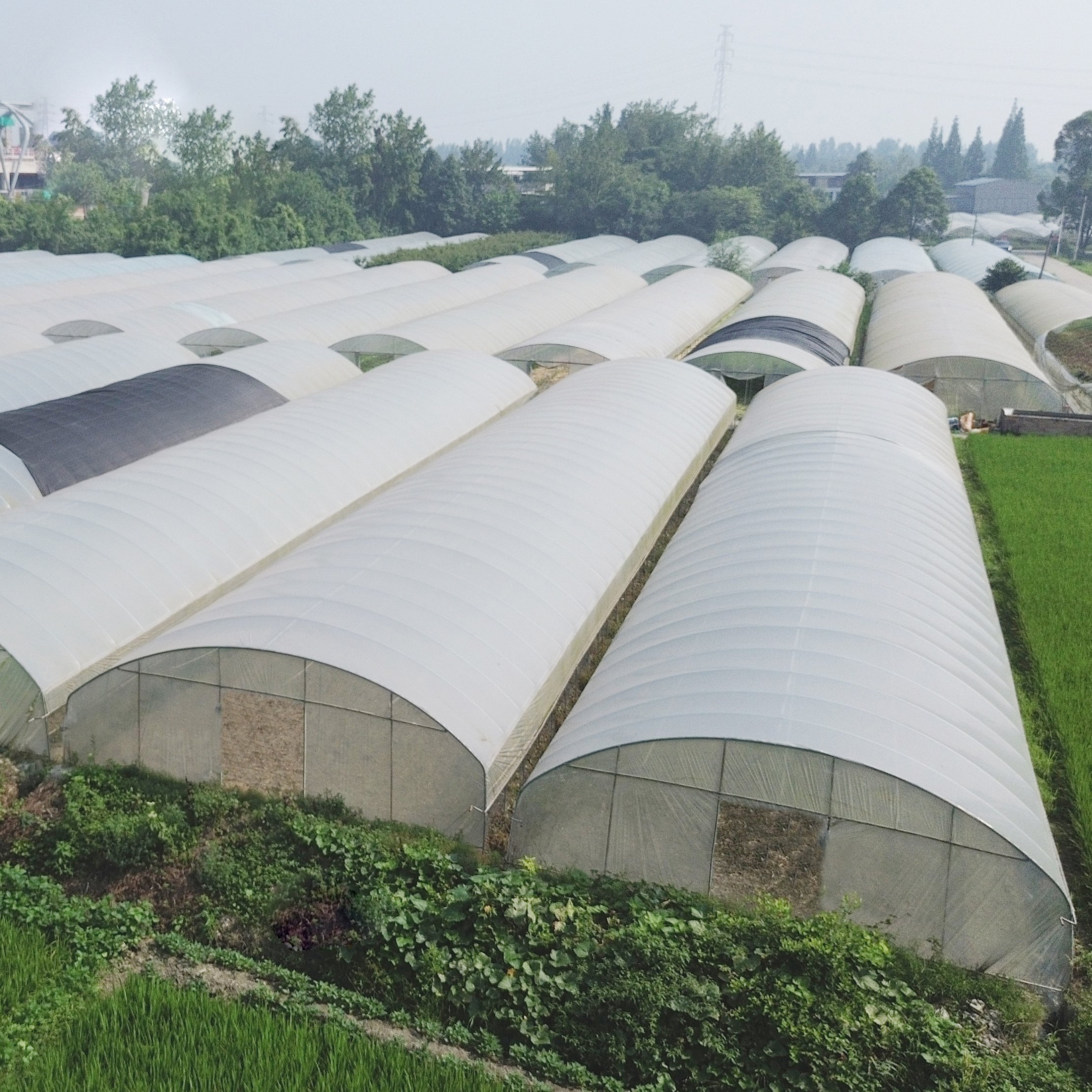 Low Cost Commercial Manufacturing Greenhouse Kit Arch Plastic Film Single-span Tunnel Greenhouse For Tomato