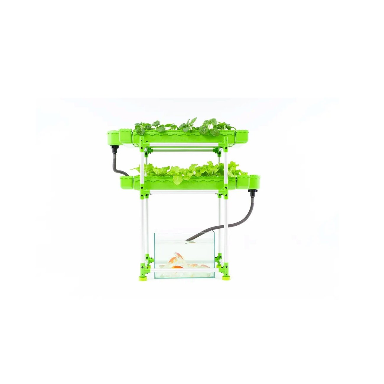 Indoor Farming Aquaponic Recirculating System For Sale Hydroponics System Agricultural Greenhouses