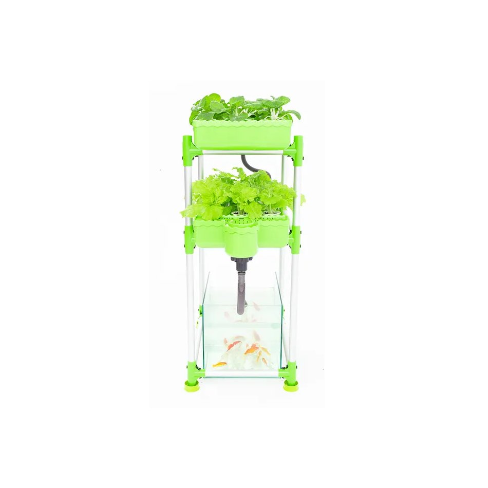 Indoor Farming Aquaponic Recirculating System For Sale Hydroponics System Agricultural Greenhouses