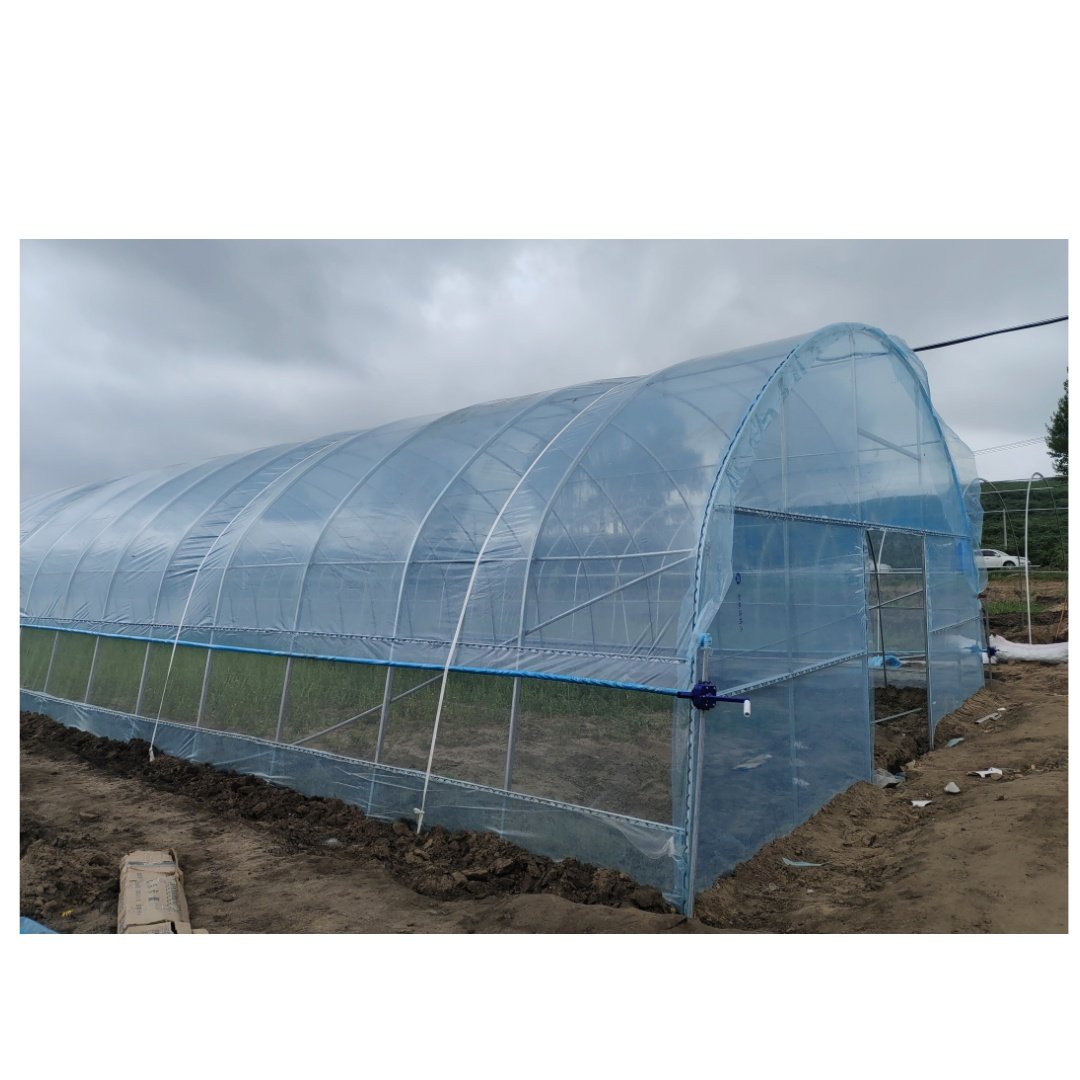 30x 60mm oval Pipe 8x30m PO Film Plastic Green House Single Tunnel Agricultural Greenhouse