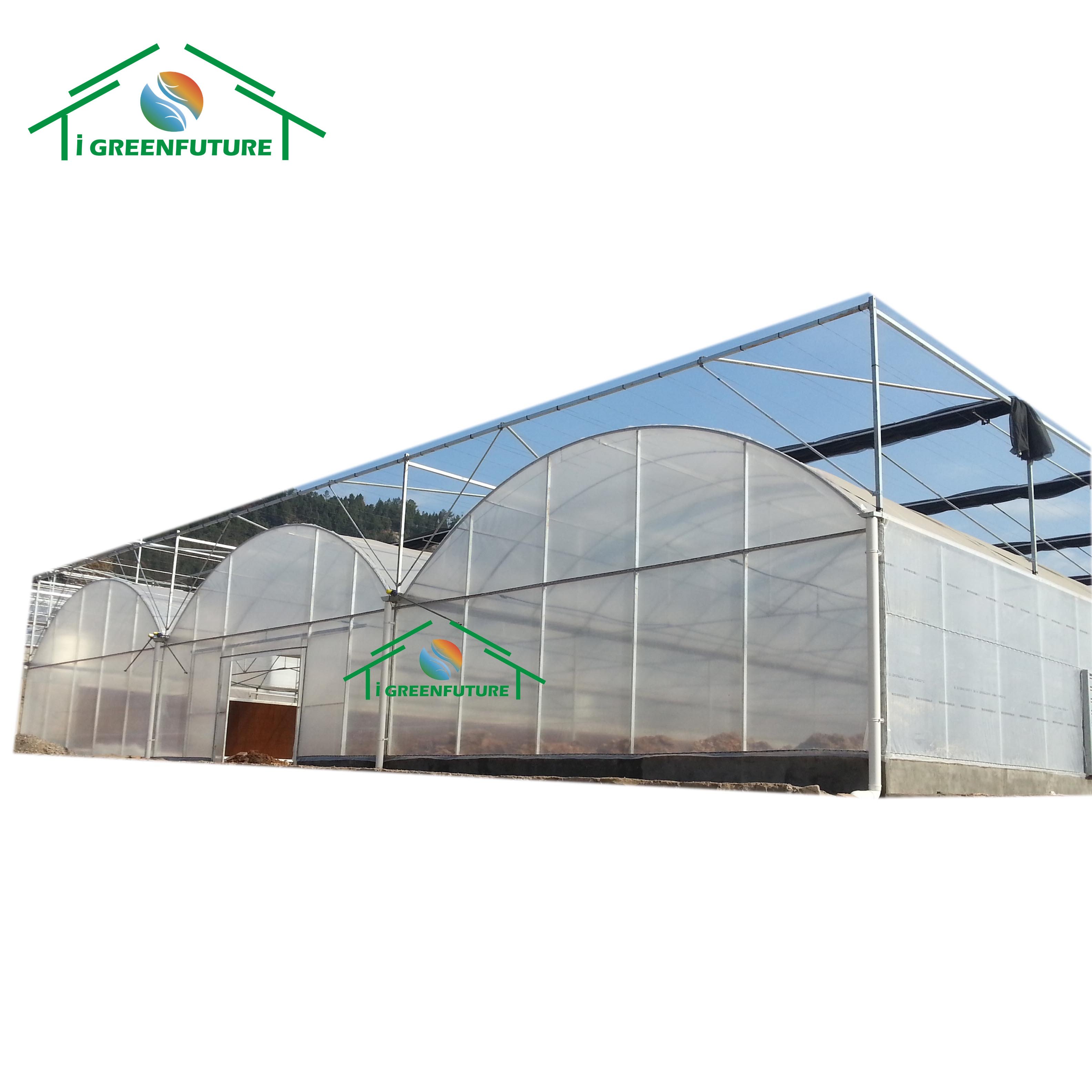 Agriculture Tunnel Multi Span Plastic Greenhouse Steel Frame Plastic House For Flower/Vegetables/Tomato/Strawberrys Planting