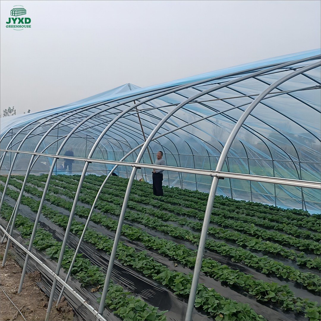 100-200 Micron Anti-fog UV Resistant Clear Polyethylene Agricultural Greenhouse Plastic Film