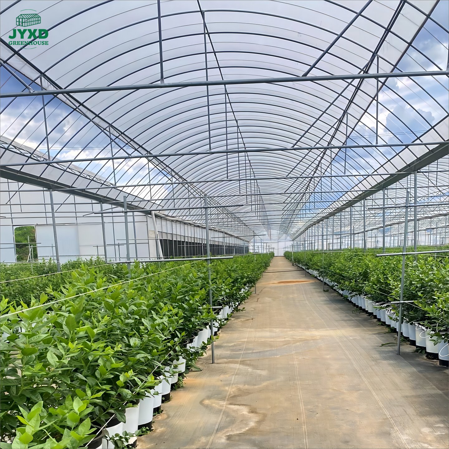 100-200 Micron Anti-fog UV Resistant Clear Polyethylene Agricultural Greenhouse Plastic Film