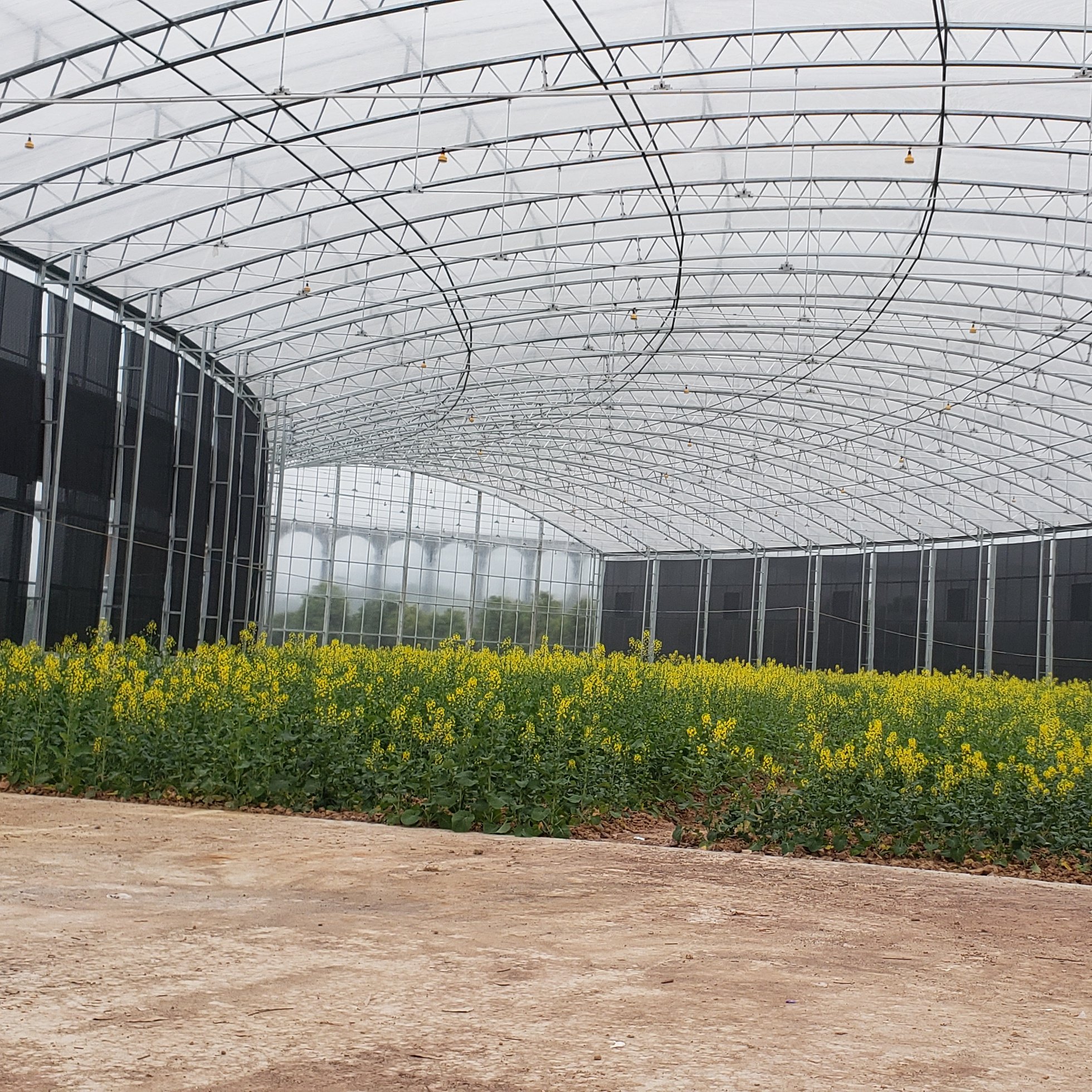 JIAPEI Spherical greenhouse, high-end customization Agricultural greenhouse Exhibition greenhouse